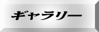 ギャラリー